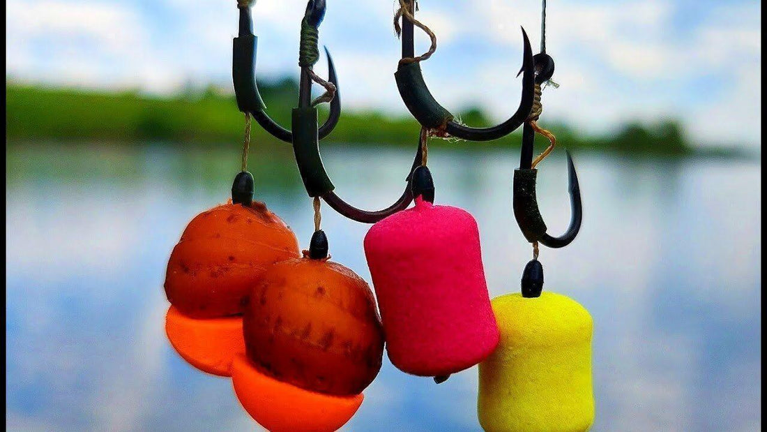 Карповая наживка для ловли в Израиле