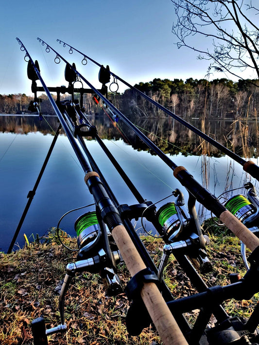 Ловля карпа в Израиле: подробное руководство