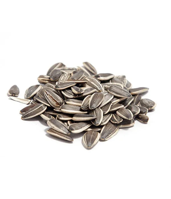 Кормовые семена подсолнечника 1кг Carpion חנות דייג Carpion