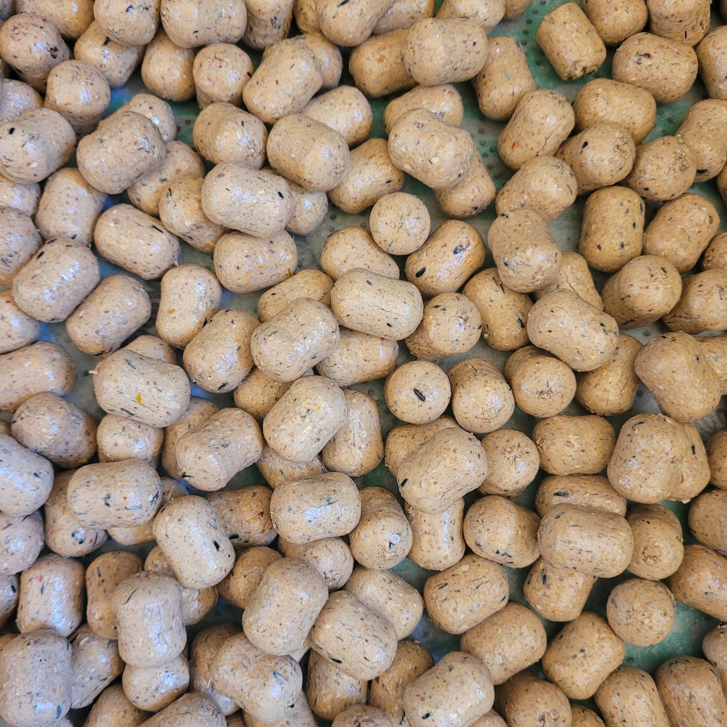 Пеллетс пылящий Tiger nuts 18×22mm Carpion חנות דייג Carpion